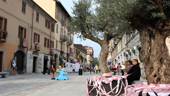 Affitto Mansarda Torino zona Gran Madre